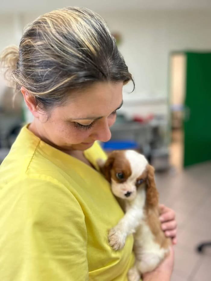 auxiliaire specialisé equipe vetoptisoins