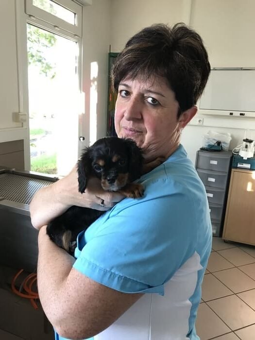 auxiliaire specialisé equipe vetoptisoins