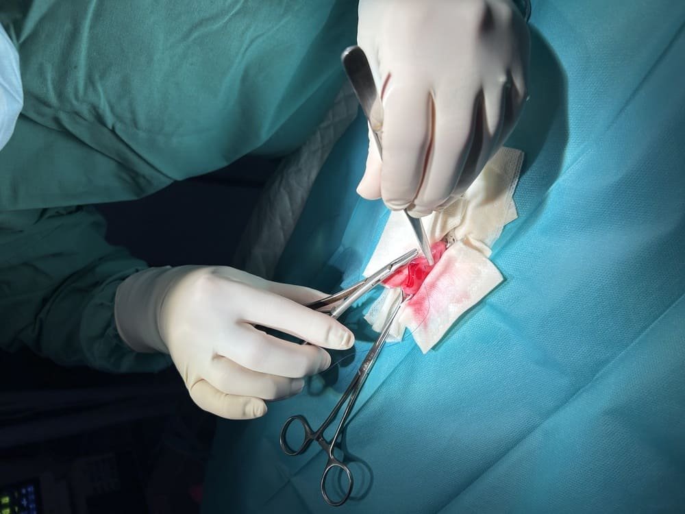 chirurgie veterinaire