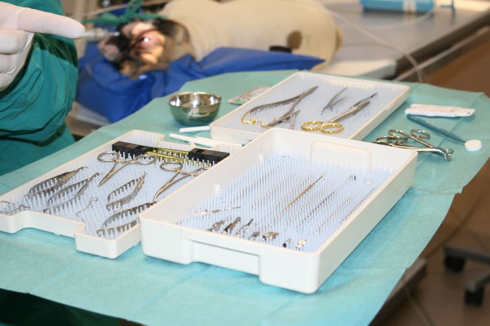 equipement veterinaire